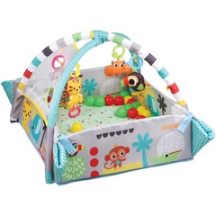 5-in-1 Activity Gym and Ball Pit for Babies - Safe, Fun, and Educational Play Space