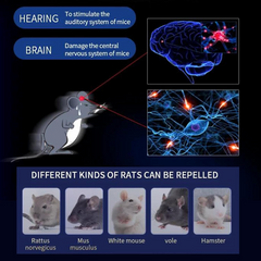 AI Ultrasonic Mouse Repellent Plug-In – Intelligent Pest Control for Mice, Rats, Insects & More | 1000m³ Coverage