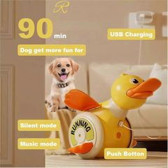 Cute Foraging Duck Wind-Up Toy – Crawling Baby Educational Toy (18M+)