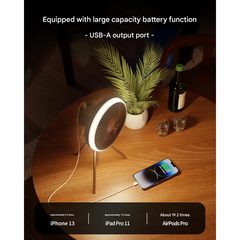 Portable Camping Fan – 10,000 mAh Rechargeable Battery, LED Light, Remote Control, Quiet & Adjustable Airflow