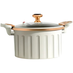 10L Stainless Steel Pressure Cooker – Large Capacity, Efficient, and Versatile