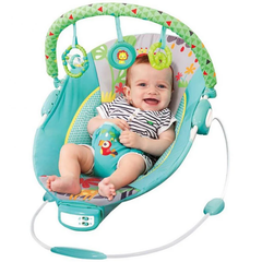 Vibrating Baby Bouncer – Adjustable Recline, Soothing Vibration & Musical Toys