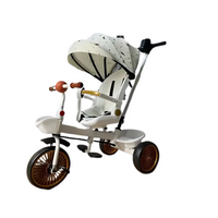 3-in-1 Kids Travel Stroller Trike – Ultra Design for Style and Functionality