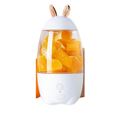 Portable Blender for Shakes & Smoothies | 330ml USB Rechargeable Mini Mixer