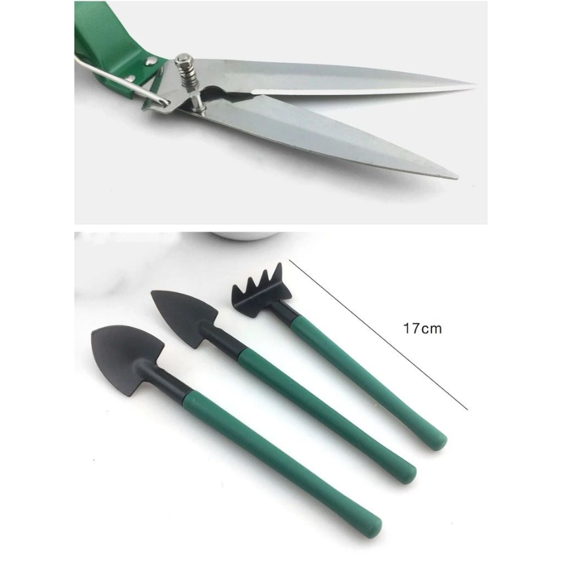 10-Piece Heavy Duty Stainless Steel Gardening Tool Kit with Carrying Case