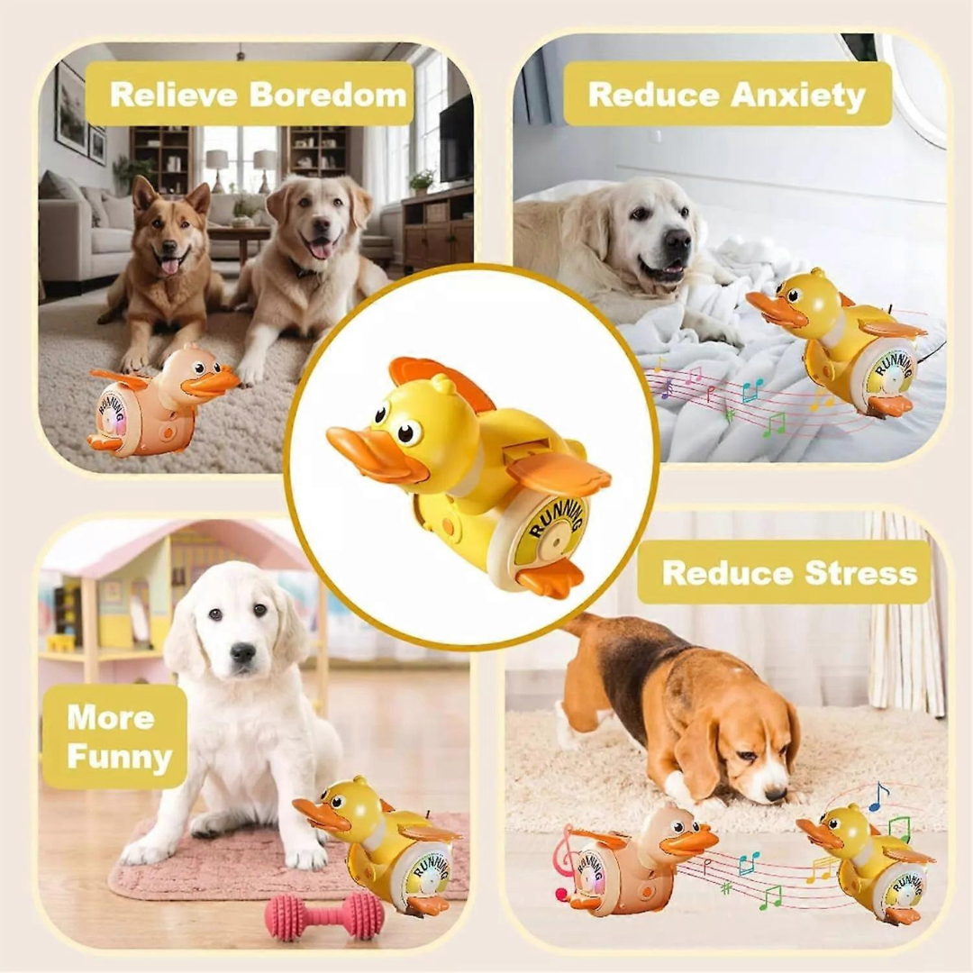 Cute Foraging Duck Wind-Up Toy – Crawling Baby Educational Toy (18M+)